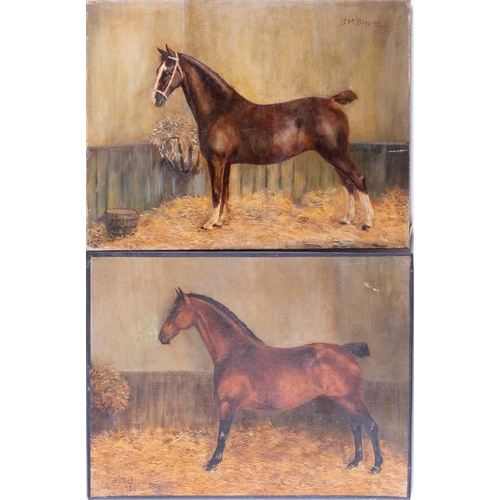 33 - American school, 20th century a pair of oil paintings depicting portraits of a thoroughbred in their... 