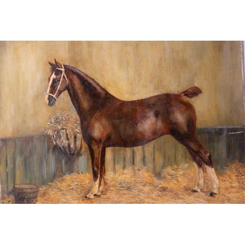 33 - American school, 20th century a pair of oil paintings depicting portraits of a thoroughbred in their... 