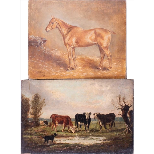 34 - Gertrude L. Whelpton (XIX-XX) British depicting a Thoroughbred in his stable, signed and dated 1911 ... 