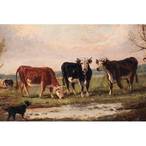 34 - Gertrude L. Whelpton (XIX-XX) British depicting a Thoroughbred in his stable, signed and dated 1911 ... 