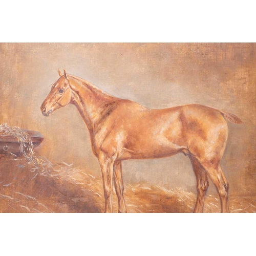 34 - Gertrude L. Whelpton (XIX-XX) British depicting a Thoroughbred in his stable, signed and dated 1911 ... 