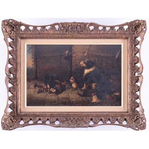 49 - English school, 19th century depicting an English Shepherd dog and her puppy both watching a hen and... 
