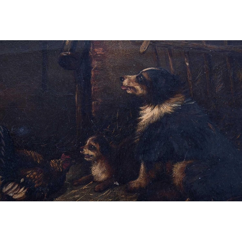 49 - English school, 19th century depicting an English Shepherd dog and her puppy both watching a hen and... 