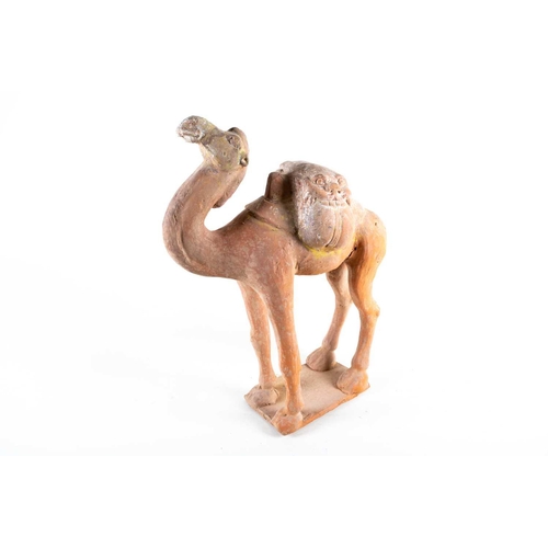 229 - A Chinese pottery camel, Tang, the saddle with lion mask decoration, on a rectangular base, traces o... 