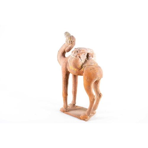 229 - A Chinese pottery camel, Tang, the saddle with lion mask decoration, on a rectangular base, traces o... 