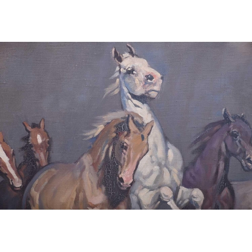 3 - Janos Viski (1891-1987) Hungarian, a group of wild horses, oil on canvas, signed to lower right corn... 