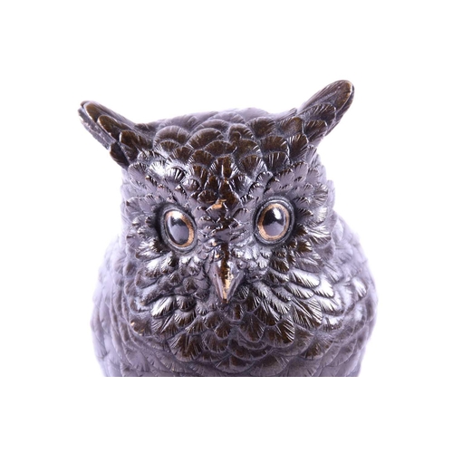 308 - An amusing Japanese bronze, Meiji/Taisho period, modelled as an owl peering down upon a monkey looki... 