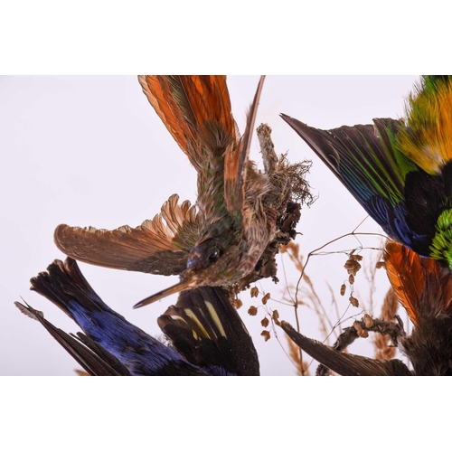 448 - A 19th century taxidermy group of birds, mounted on a branch with foliage, on an ebonised base benea... 