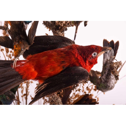 448 - A 19th century taxidermy group of birds, mounted on a branch with foliage, on an ebonised base benea... 