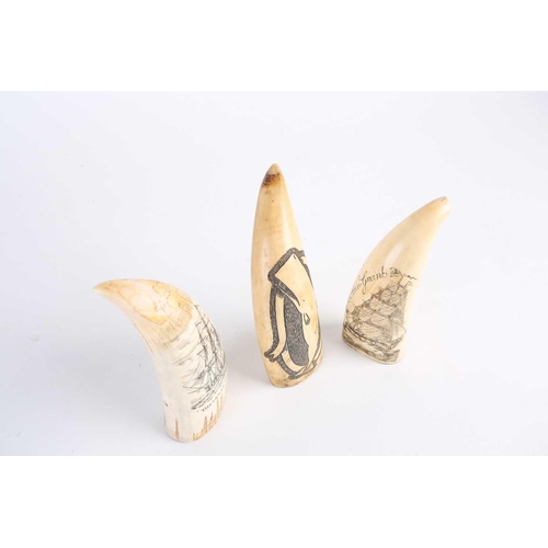 483 - Three whale tooth scrimshaws, all with later decoration, depicting a whale, inscribed verso 1861, an... 