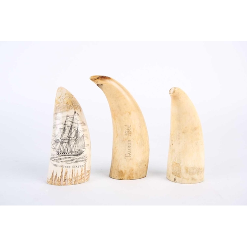 483 - Three whale tooth scrimshaws, all with later decoration, depicting a whale, inscribed verso 1861, an... 