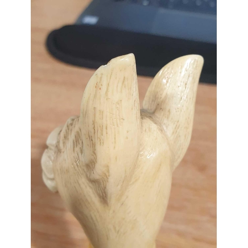 488 - A 19th century dog head walking cane, the ivory pommel carved as a Pug type dog, with pricked up ear... 