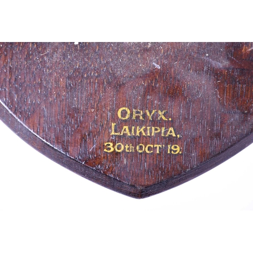 492 - Taxidermy - a shoulder mounted Oryx, on shield shape mount inscribed' Oryx, Laikipia, 30th Oct 19.' ... 