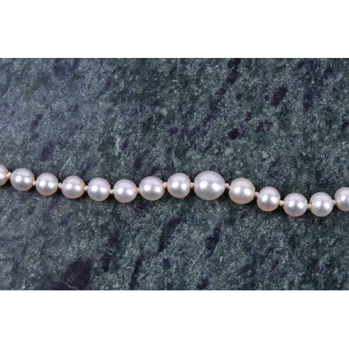 671 - A cultured pearl necklace, set with graduated pearls measuring approximately 3 - 5 mm, fastened with... 