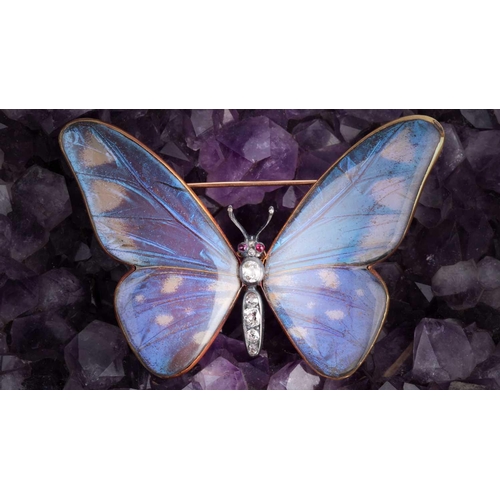 22 - A late 19th / early 20th century diamond and butterfly wing brooch, in the form of a butterfly, the ... 