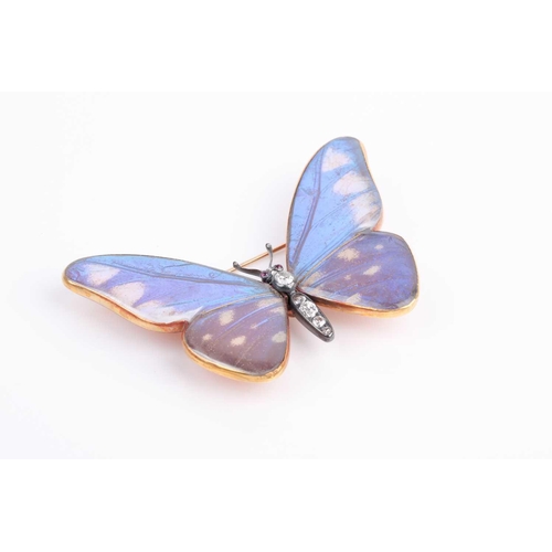 22 - A late 19th / early 20th century diamond and butterfly wing brooch, in the form of a butterfly, the ... 