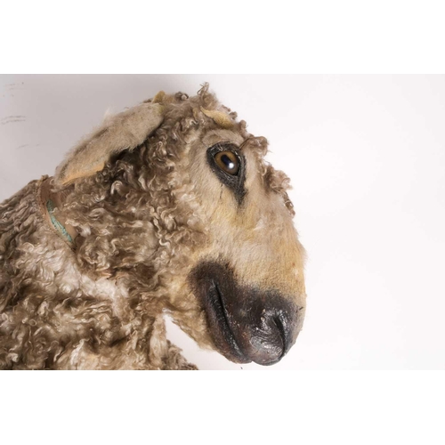 1 - Nancy Fouts (American, 1945-2019), a lifesize resin and faux-skin model of a small sheep in an anthr... 