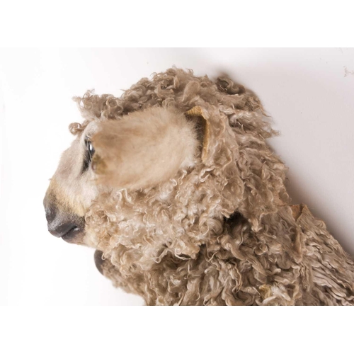 1 - Nancy Fouts (American, 1945-2019), a lifesize resin and faux-skin model of a small sheep in an anthr... 