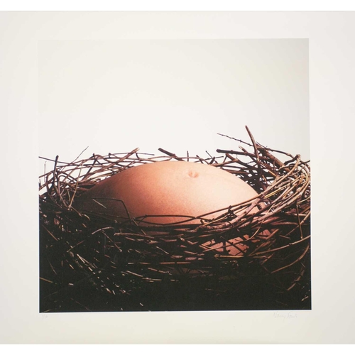 64 - Nancy Fouts (American, 1945-2019) 'Baby Nest', 2010, digital C-type photographic print on archive pa... 