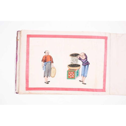 12 - An early 19th century Chinese export watercolour on pith paper album, the twelve stages of tea produ... 