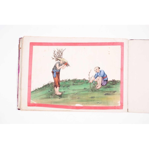 12 - An early 19th century Chinese export watercolour on pith paper album, the twelve stages of tea produ... 