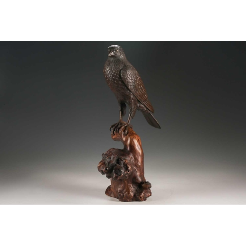 143 - A Japanese bronze okimono of a hawk, Meiji period, finely cast with well detailed feathers, the eyes... 