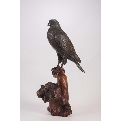 143 - A Japanese bronze okimono of a hawk, Meiji period, finely cast with well detailed feathers, the eyes... 