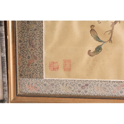 16 - A Chinese painting on silk, 20th century, a black naped Oriole, perched on a fruiting pomegranate br... 