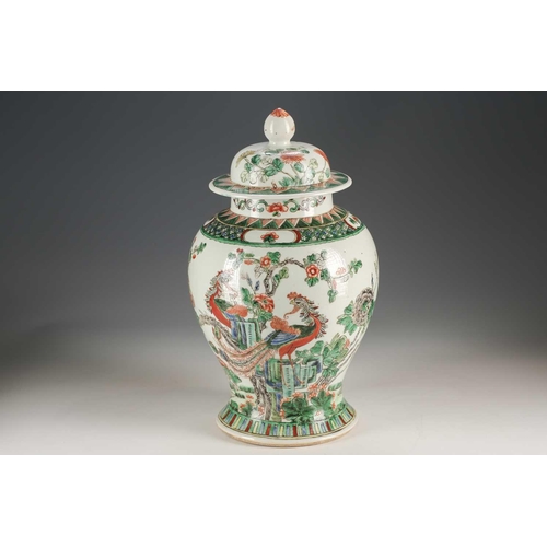 261 - A Chinese famille verte vase and cover, Qing, 19th century, painted with two feng-huang amongst tree... 