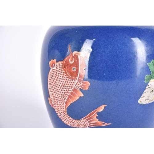 214 - A Chinese powder blue ginger jar & cover, in the Kangxi style, painted with four fish to the body an... 