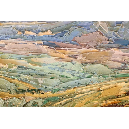 27 - † Jon Spencer (contemporary) British, 'Scale Tarn from Sharp Edge V', impasto oil on board, signed t... 