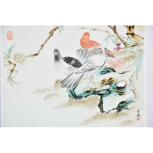 293 - A large Chinese porcelain plaque, 20th century, possibly Republic period, painted with three pigeons... 