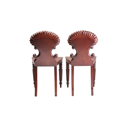 305 - A pair of George IV mahogany shell backed hall chairs, possibly by Gillows of Lancaster, Each with s... 