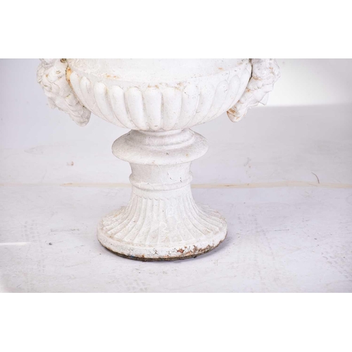 310 - A pair of cast iron two-handled campana urns with gadrooned rims. on composite square socle bases. 5... 