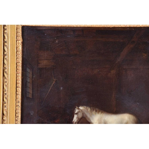 42 - 19th century school, study of a white horse in a stable, unsigned oil on panel, 24.5 cm x 28.5 cm in... 