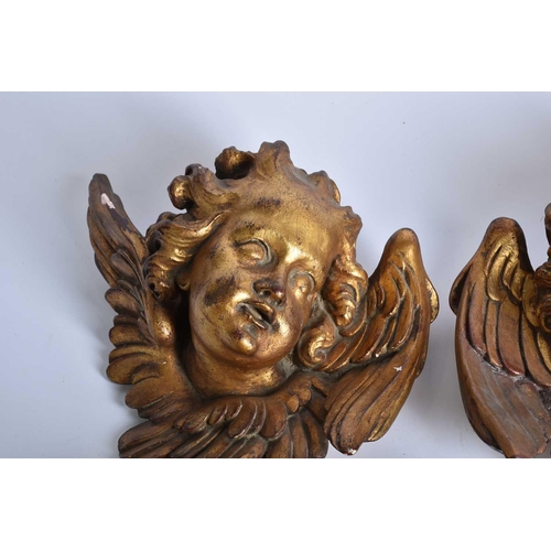 538 - A pair of gilt plaster cherub wall plaques plus a pair of Italian Neoclassical style giltwood walls ... 