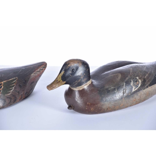 570 - Two hand carved and painted duck decoys, late 19th/early 20th century, the larger duck with a fixed ... 