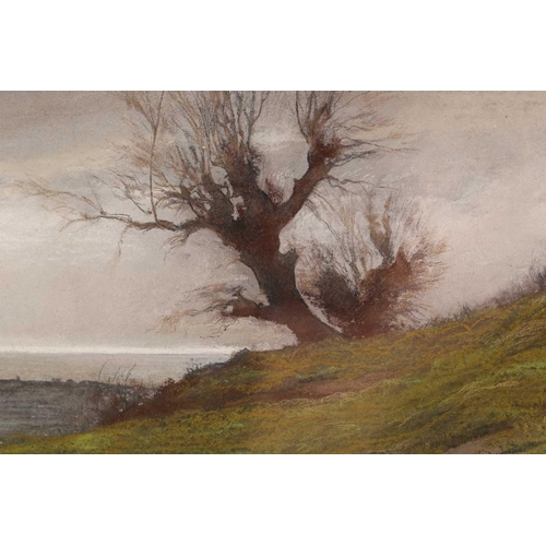 10 - Guilio Aristide Sartorio (1860 - 1932), landscape with gnarled tree overlooking the coast, signed an... 