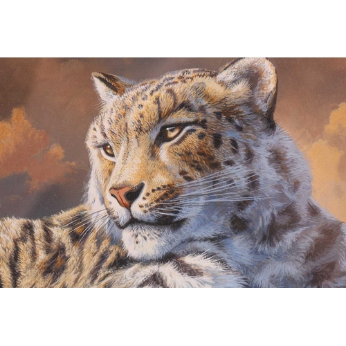 14 - † Adrian C Rigby (b. 1962) British, 'Snow Leopard', gouache on card, signed to lower right corner, 3... 