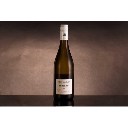 240 - Fourteen bottles of assorted white wine, to include 2020 Chablis Les Pargues Servin (x2), 2020 Domai... 