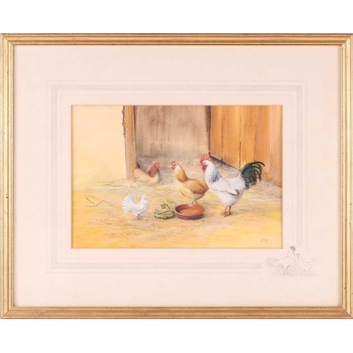 45 - † Keith Tovey (b.1932), a pair of studies of Cockerels and chickens, watercolour on card, each signe... 