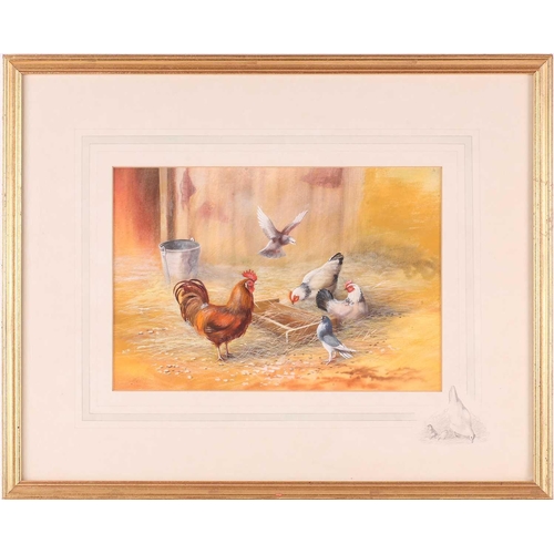 45 - † Keith Tovey (b.1932), a pair of studies of Cockerels and chickens, watercolour on card, each signe... 