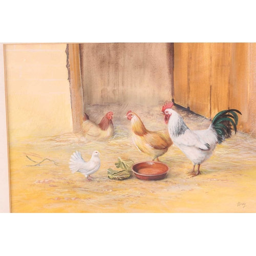 45 - † Keith Tovey (b.1932), a pair of studies of Cockerels and chickens, watercolour on card, each signe... 