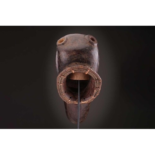 112 - A Mambila zoomorphic headdress mask, Cameroon, covered in animal skin, with wood teeth and red pigme... 