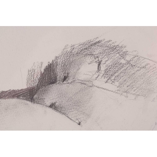 121 - † Nicolas Granger-Taylor (b.1963), 'Reclining Nude', pencil on paper, 30.5 cm x 45 cm, together with... 