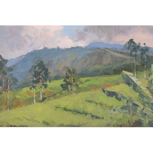 20 - † John Webster (1932-2020), 'From La Couronne, Franschoek', signed, oil on board, Tryon Gallery labe... 