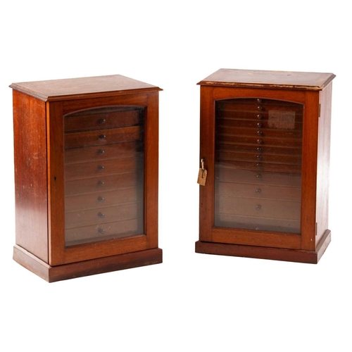 281 - A pair of early 20th-century mahogany collectors cabinets each with an arched glazed panel door encl... 