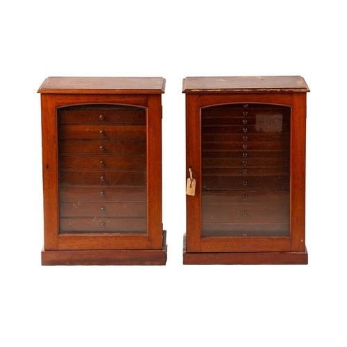 281 - A pair of early 20th-century mahogany collectors cabinets each with an arched glazed panel door encl... 