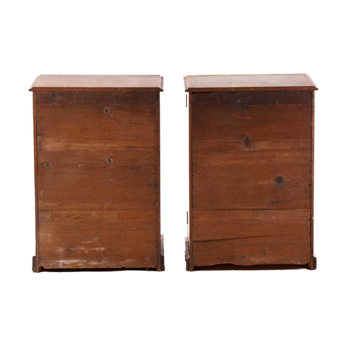 281 - A pair of early 20th-century mahogany collectors cabinets each with an arched glazed panel door encl... 