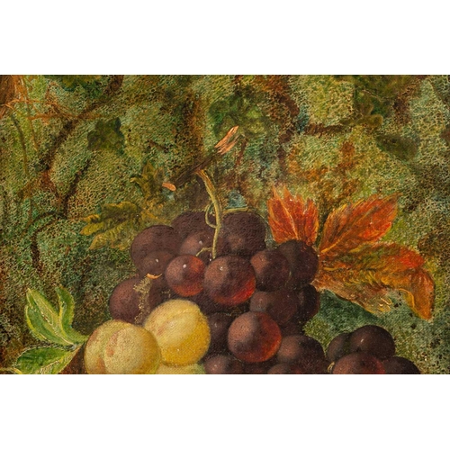 34 - Vincent Clare (1855-1930), still life of fruit, oil on canvas, signed to lower right corner, 29.5 cm... 